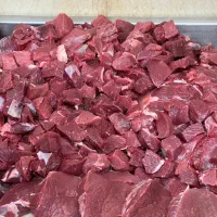 قصاب فروشنده