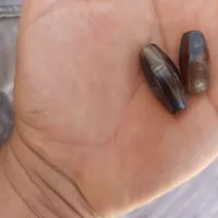 مهره قدیمی بشرط