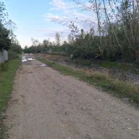 زمین مناسب گل و گیاه|فروش زمین و ملک کلنگی|واجارگاه, |دیوار