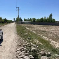 زمین دو بر موقعیت تجاری و گلخانه
