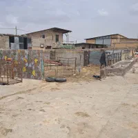 پروار بندی گوساله گوسفندی همه چی ۷۵ راس|پیشفروش املاک|بروجن, |دیوار