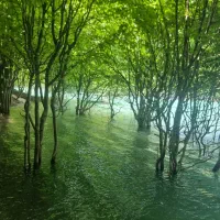 زمین شهرک پردیس فروشی فوری