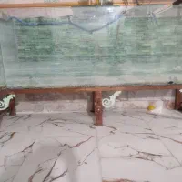 اکواریوم