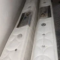 دو عدد تشک رویال