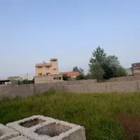 زمین ۲۵۰ متری دور دیوار بادروازه و چاه آب|فروش زمین و ملک کلنگی|رشت, گلباغ نماز|دیوار