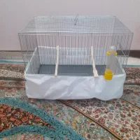 قفس|لوازم جانبی حیوانات|تهران, مختاری|دیوار