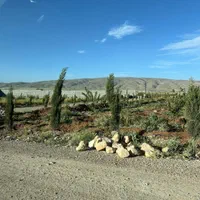 فروش‌ تعدادی ‌زمین ‌باغشهردر ‌خان‌خمیس/ با آب‌برق‌|فروش زمین و ملک کلنگی|شیراز, ابیوردی|دیوار