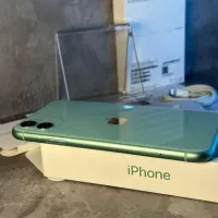 Iphon 11|موبایل|رشت, کاکتوس|دیوار