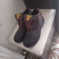 کفش کار
