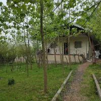 اجاره ویلا جنگلی