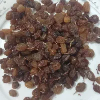 کشمش تازه امسالی