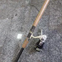 لنسر ماهی گیری