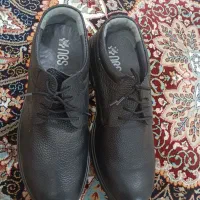 کفش چرم|کیف، کفش، کمربند|قروه, |دیوار