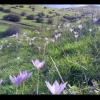 کار درمنزل برای بانوان درمانگر وکار آفرینی