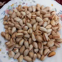 پسته اکبری رفسنجان