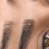 مدل ارایش دائم کار توسط مربی