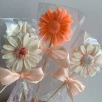 گیفت روز مادر