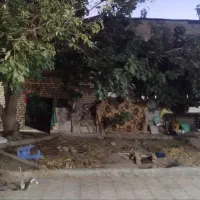 فروش ویلایی دوواحده شهید غلامزاده /سند تک برگ|فروش خانه و ویلا|تربت جام, شهید غلام زاده|دیوار