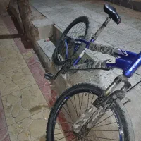 دوچرخه ۲۶|دوچرخه، اسکیت، اسکوتر|باوی, |دیوار