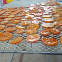 دستگاه خشک کن میوه و سبزی تنقلات ارگانیک 50kg