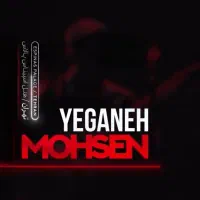 دو عدد ردیف VIP کنسرت محسن یگانه 18آبان سانس دوم|بلیت کنسرت|تهران, فرمانیه|دیوار