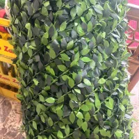 فنس|گل و گیاه طبیعی|طاهرگوراب, |دیوار