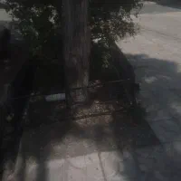 اسباب بازی|اسباببازی|اهر, |دیوار