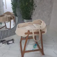 کریرر نوزاد