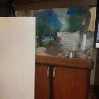 فروش آکواریوم با تمام تجهیزات