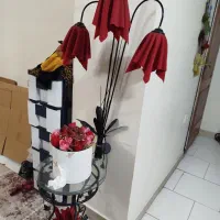 آباژور سالم