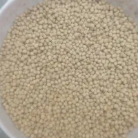 سویا رقم آرین
