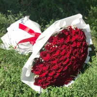 باکس گل  دسته گل  رز هلندی درجه یک