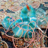 تور ماهیگیری سالیک