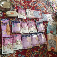 گربه،پوچ وینستون و بستنی ونپی