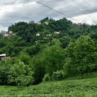 خانه-مسکونی