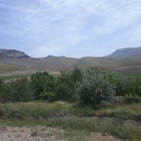 باغ و زمین|فروش زمین و ملک کلنگی|شاهین دژ, |دیوار