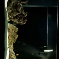 آکواریوم آب شور