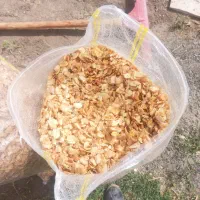 خلال سیر عمده