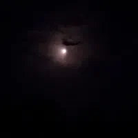 کارگر
