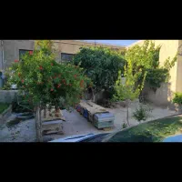 فروش کندو زنبور عسل با کلونی زنبور