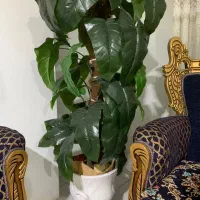 فروش گل مصنوعی بزرگ و شیک