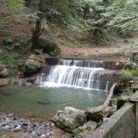 لنگرود  اطاقور سوئیت. حیاط دار ویو ابدی جای امن|اجارهٔ خانه و ویلا|لنگرود, |دیوار