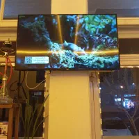 تلویزیون سام 50