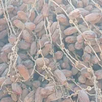 خرمای(لر)پون|خوردنی و آشامیدنی|سراوان, |دیوار