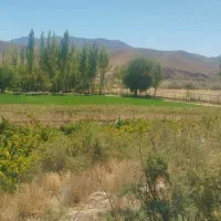 فروش زمین کشاورزی بهر جاده اصلی بین المللی|فروش زمین و ملک کلنگی|آبگرم, |دیوار