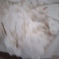 تشک پنبه ای.بازسازی یا حلاجی.سه تخته..