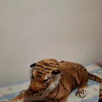 عروسک ببر بزرگ