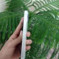 آیفون 13 نرمال|موبایل|مشهد, شهید قربانی|دیوار