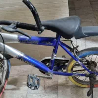 سالم با لاستیک توپر (گوشتی)