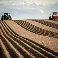 زمین کشاورزی آبی